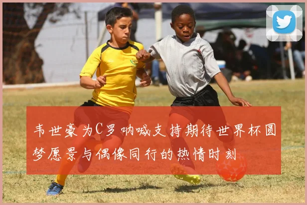 韦世豪为C罗呐喊支持期待世界杯圆梦愿景与偶像同行的热情时刻